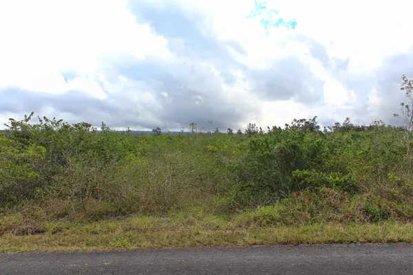 Ocean View, HI 96737,BOUGAINVILLAEA DR