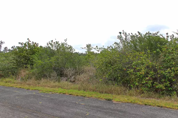 Ocean View, HI 96737,BOUGAINVILLAEA DR