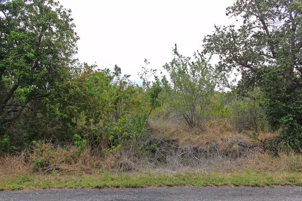 Ocean View, HI 96737,BOUGAINVILLAEA DR