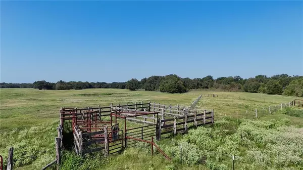 Thornton, TX 76687,TBD State Hwy 14 Highway