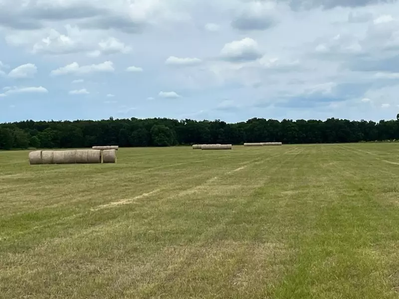 TBD NW CR 1420, Blooming Grove, TX 76626