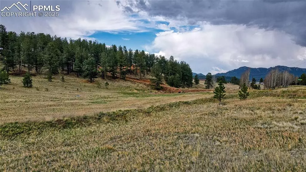 188 High Pasture RD, Florissant, CO 80816