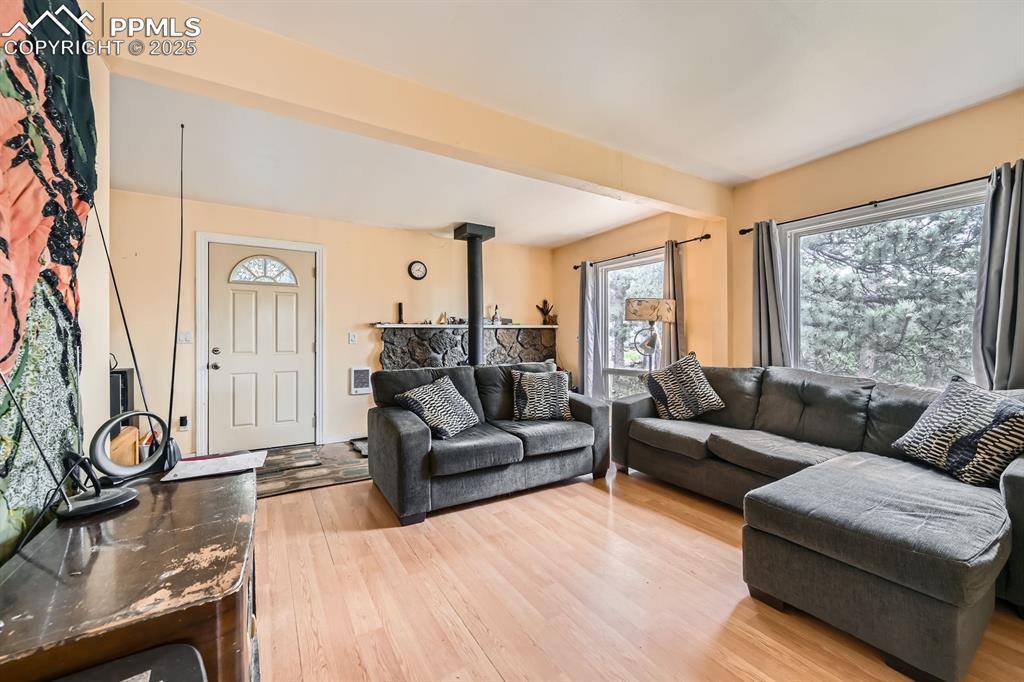 Woodland Park, CO 80863,376 Gardenia RD