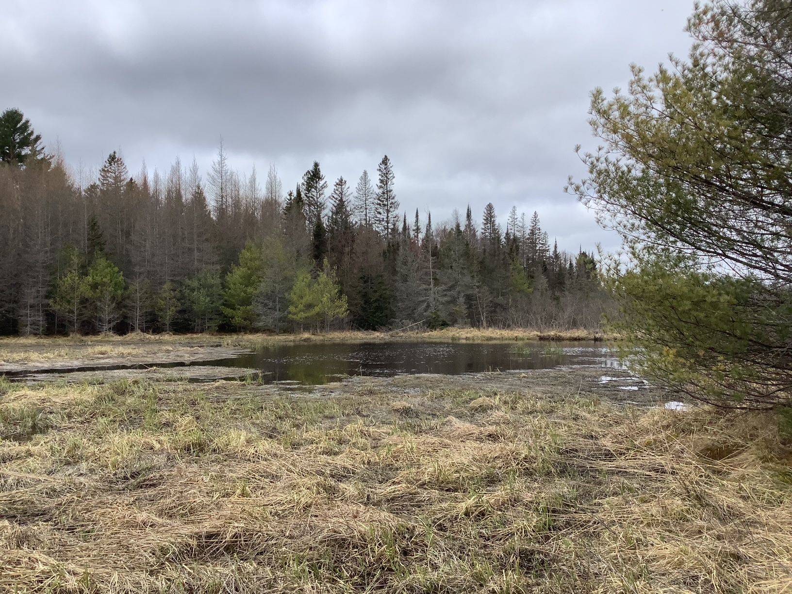 Parry Sound Remote Area, ON P0A 1X0,CON 1 LOT 12 N/A