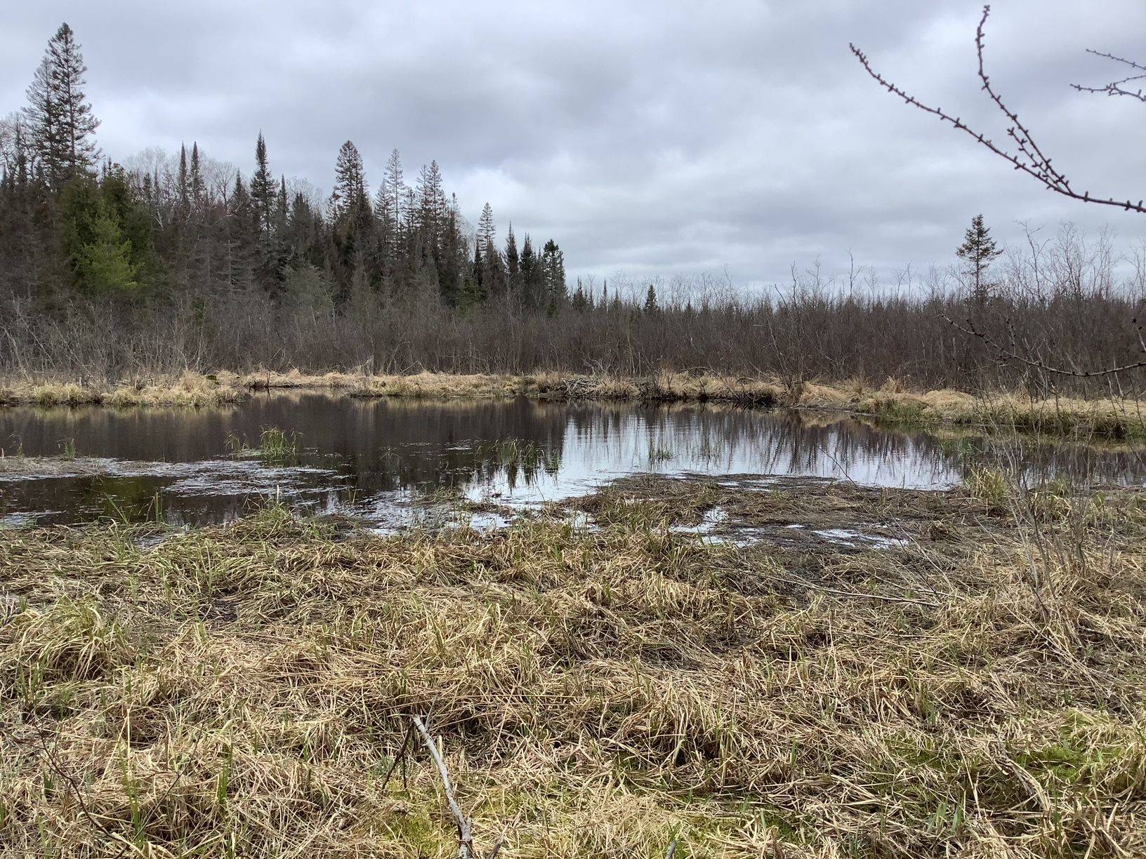 Parry Sound Remote Area, ON P0A 1X0,CON 1 LOT 12 N/A
