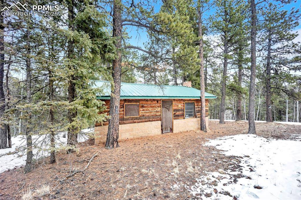Woodland Park, CO 80863,Blossom RD