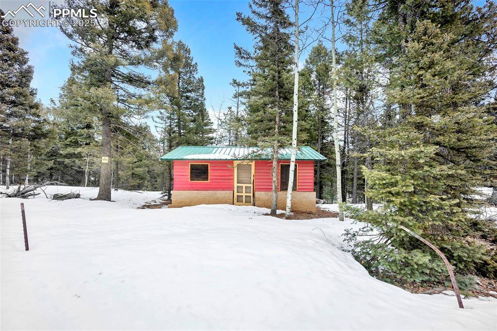 Woodland Park, CO 80863,Blossom RD