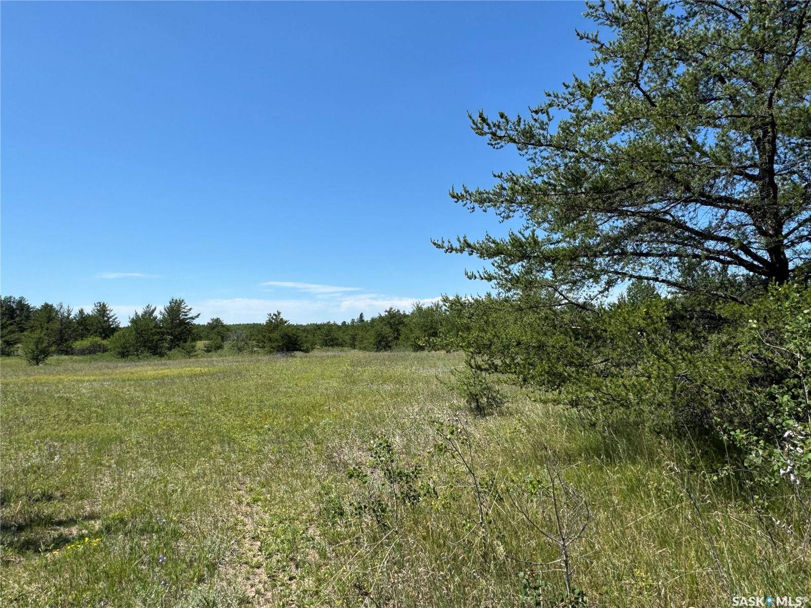 Duck Lake Rm No. 463, SK S6V 5R1,Rural Address