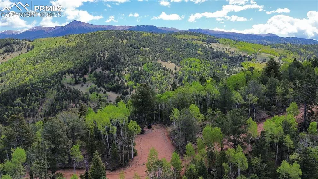 Four Mile RD, Divide, CO 80814