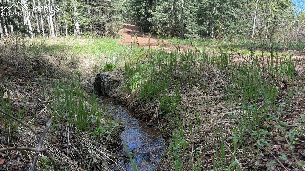 Divide, CO 80814,Four Mile RD