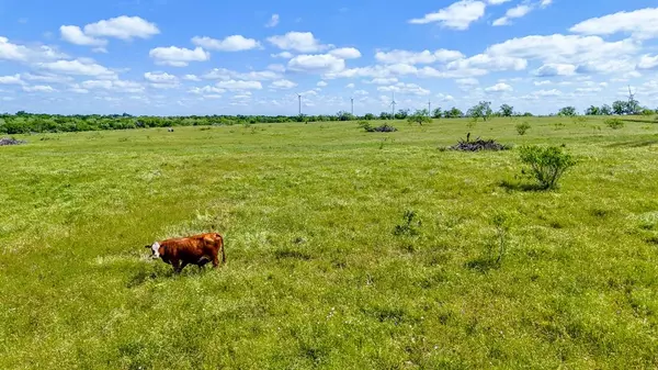 Dawson, TX 76639,TBD SW County Road 4250
