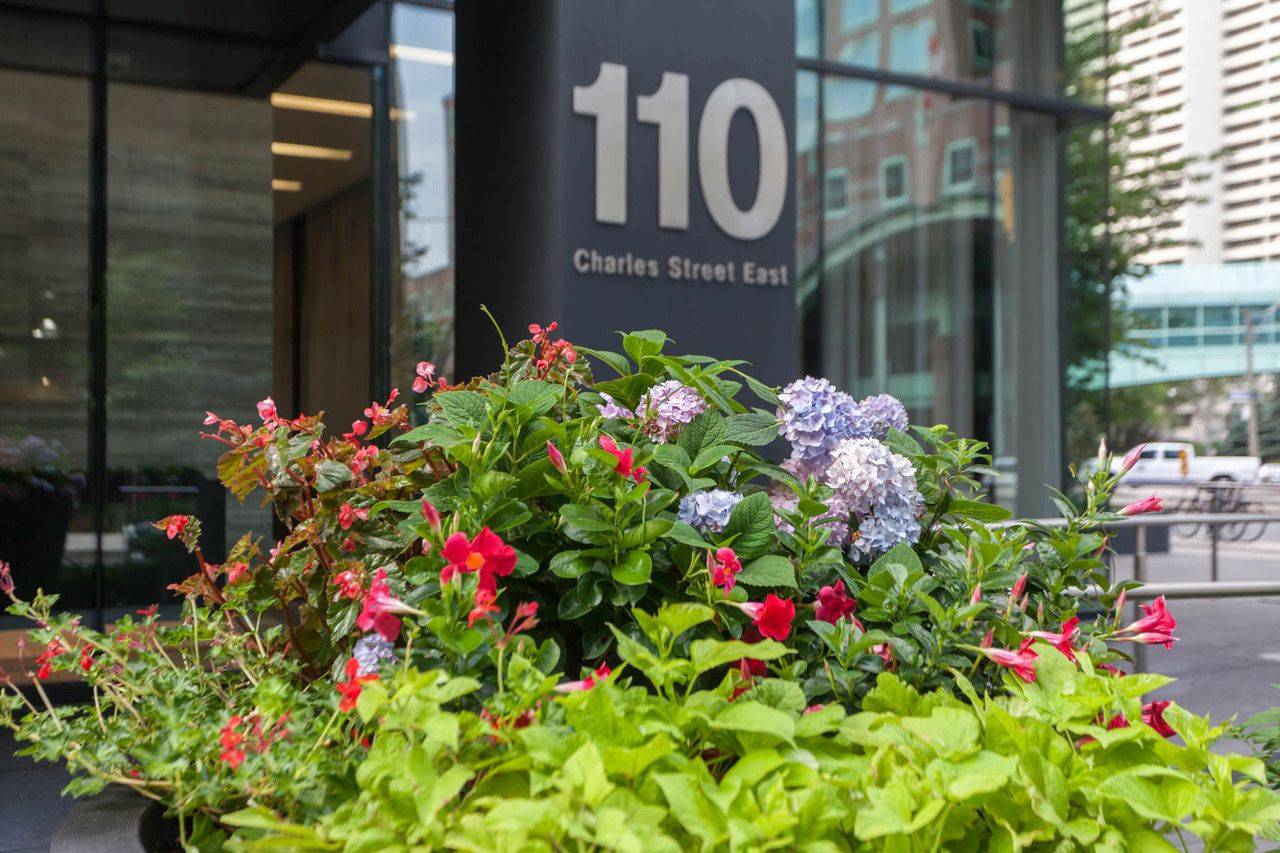 Toronto C08, ON M4Y 1T5,110 Charles ST E #1009