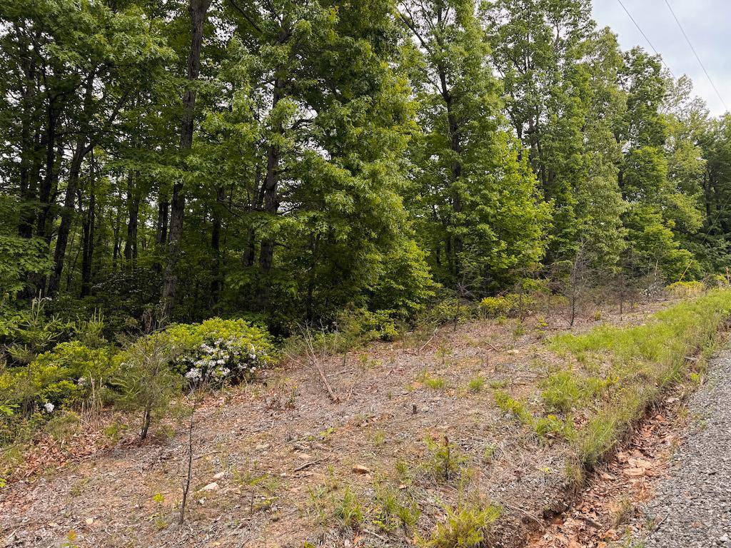 Lot 5 Shortcut Dr, Woolwine, VA 24185