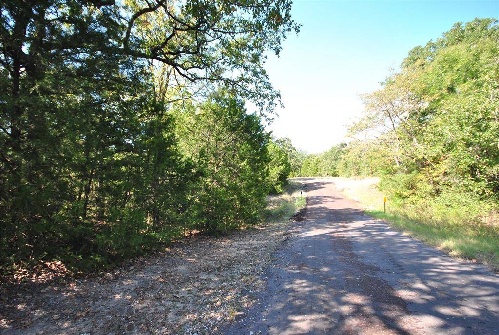 Jewett, TX 75846,0 LOT 24 LCR 910 Drive