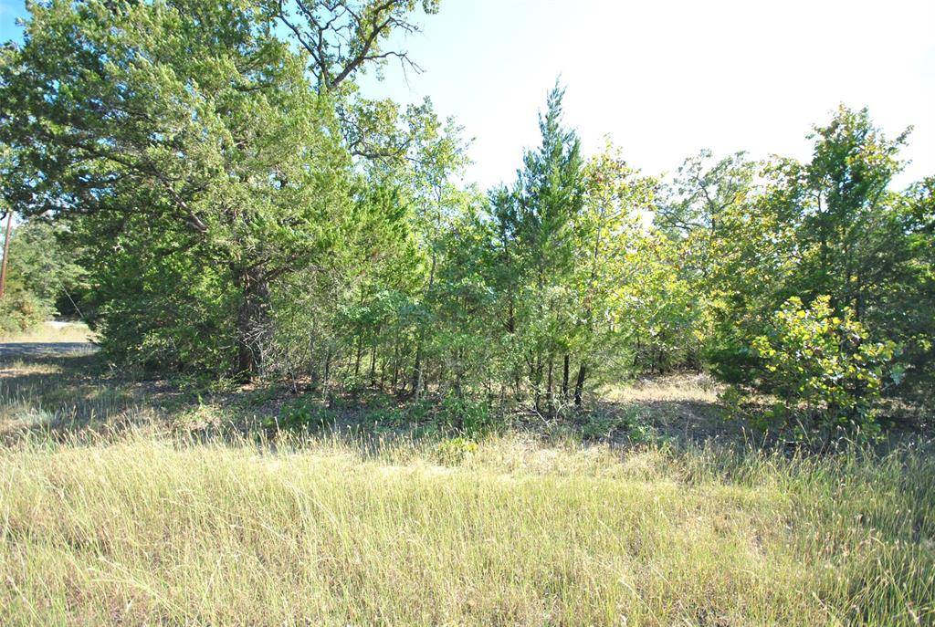 Jewett, TX 75846,Lot 77 LOT 77 LCR 894 Drive