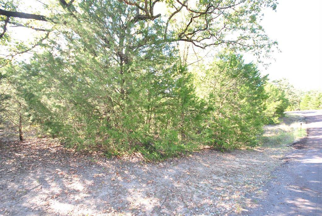 Jewett, TX 75846,Lot 77 LOT 77 LCR 894 Drive