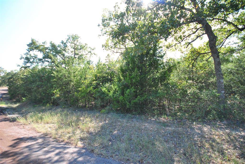 Jewett, TX 75846,Lot 76 LOT 76 LCR 894 Drive