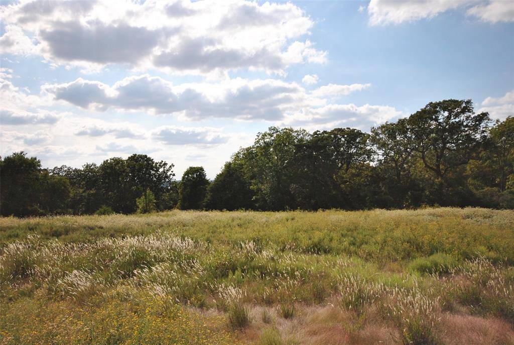 Jewett, TX 75846,00 Lot 22 LCR 910 Drive