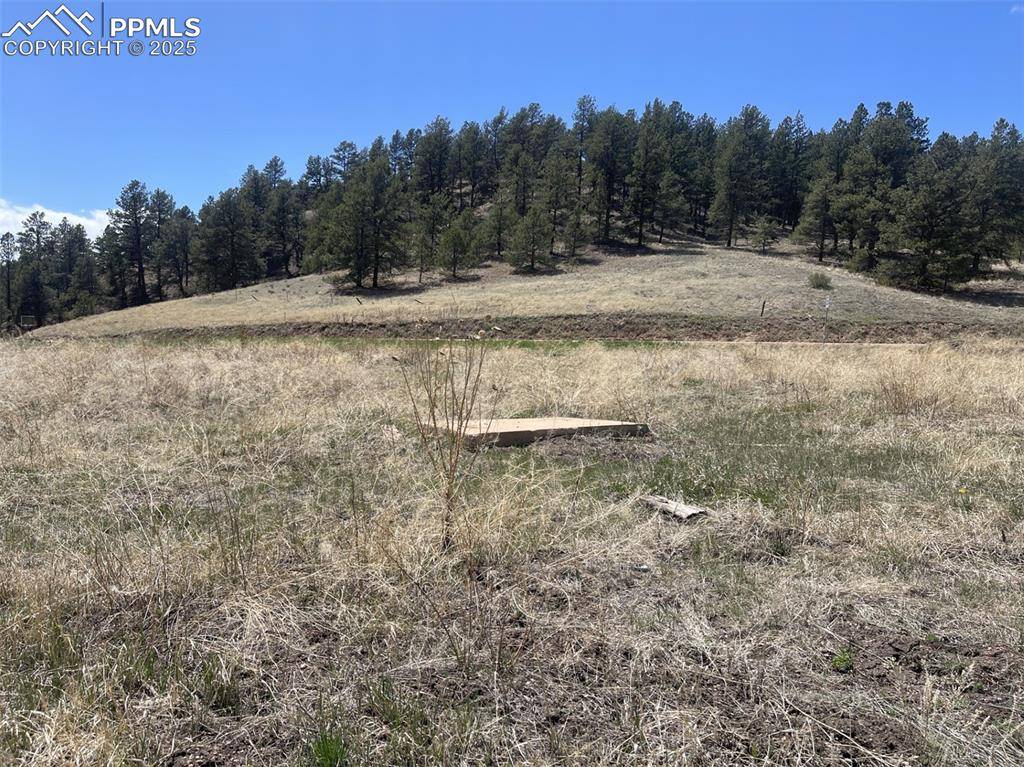 Florissant, CO 80816,00 Wildhorn RD
