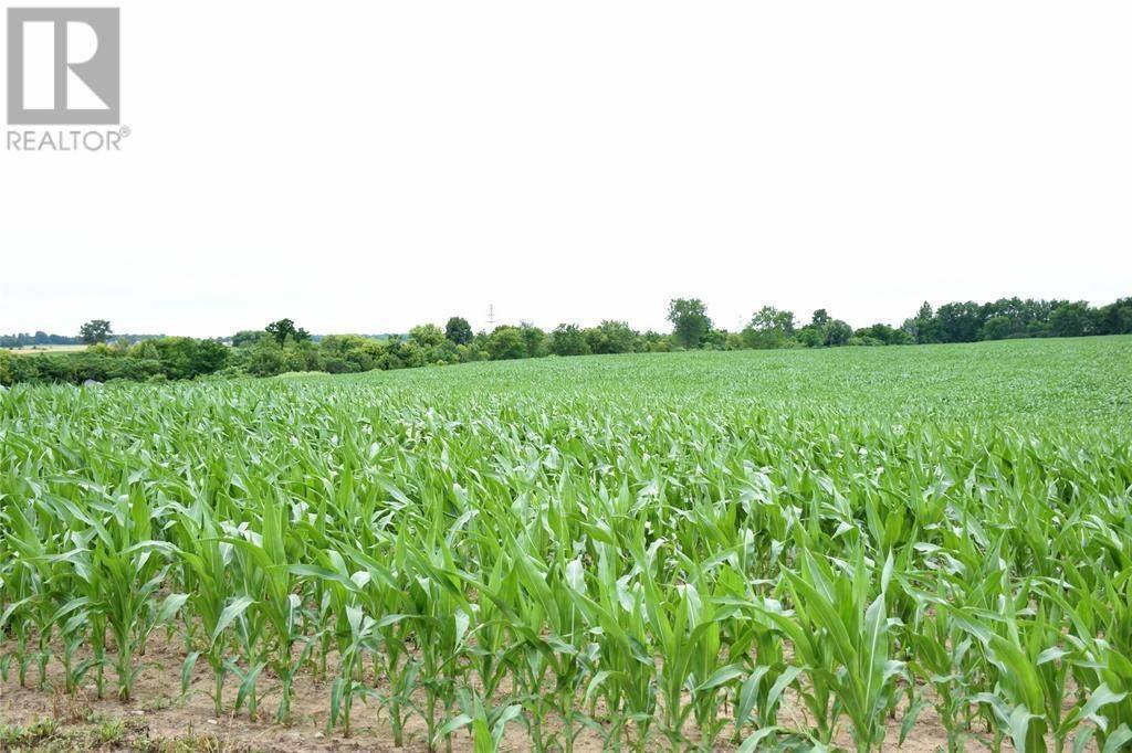 Chatham-kent, ON N0L 1X0,15686 Muirkirk Line