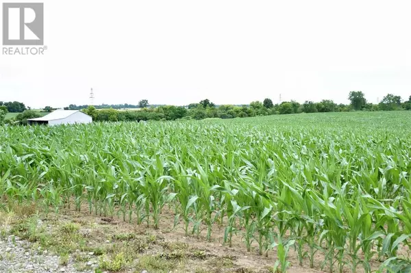 15686 Muirkirk Line, Chatham-kent, ON N0L 1X0