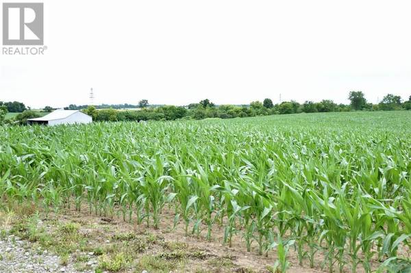 15686 Muirkirk Line, Chatham-kent, ON N0L 1X0