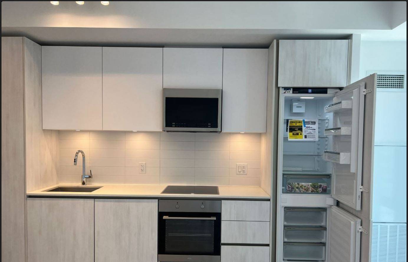 Toronto C01, ON M5V 0W6,8 Widmer ST S #3515