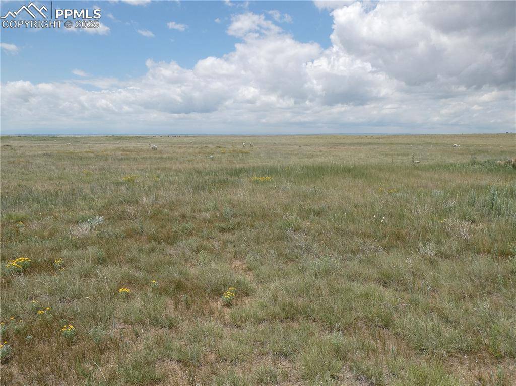 Calhan, CO 80808,29750 Mid Jones RD