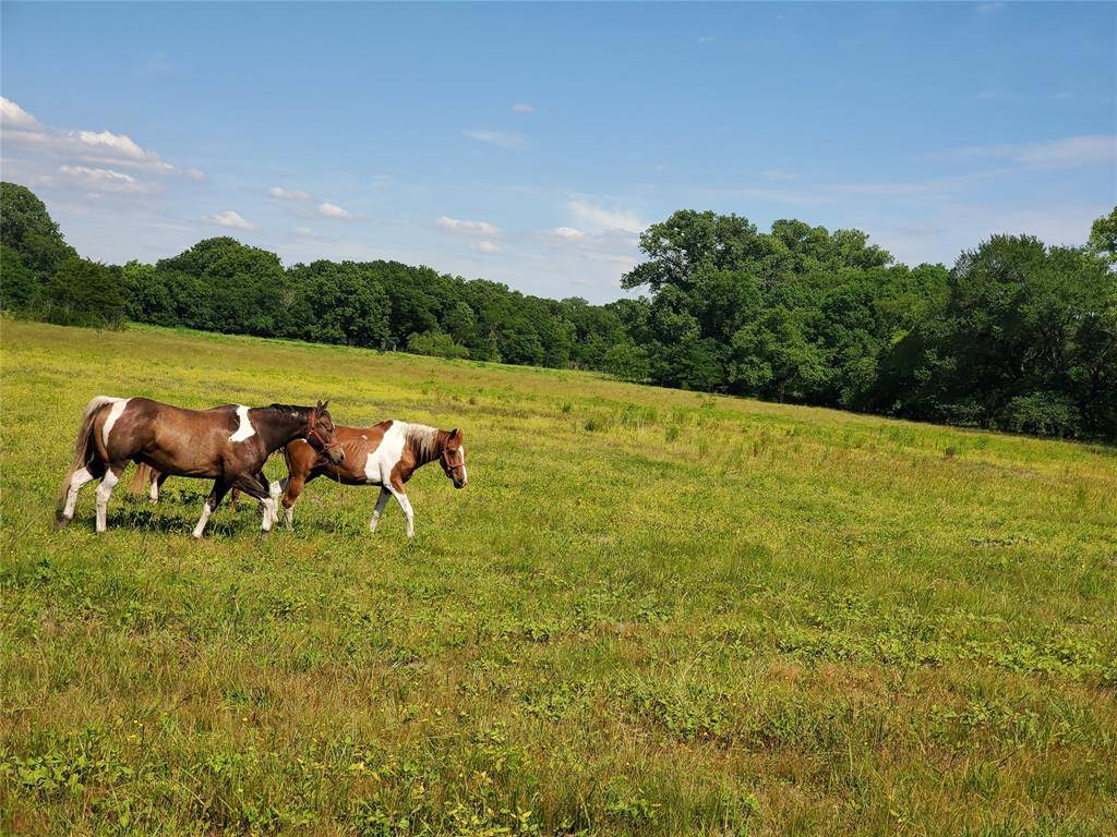 Van Alstyne, TX 75495,1180 Cameron Hill