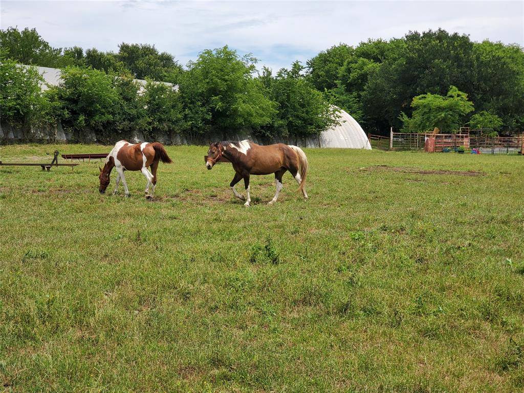 Van Alstyne, TX 75495,1180 Cameron Hill