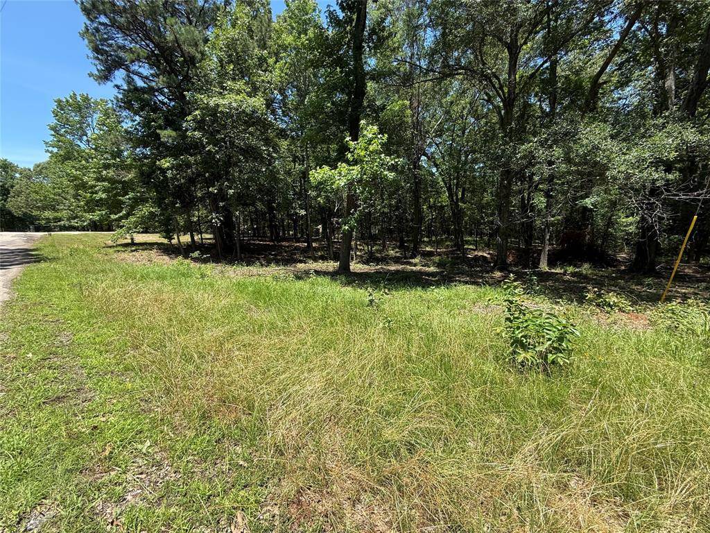 Yantis, TX 75497,TBD PR 5861 (LOT 3)