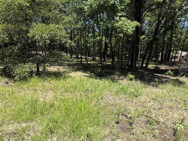TBD PR 5861 (LOT 3), Yantis, TX 75497