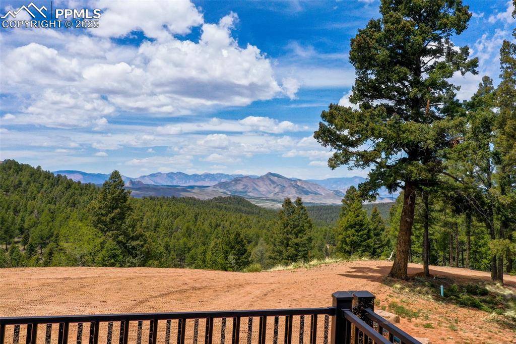 Woodland Park, CO 80863,4101 Spruce RD