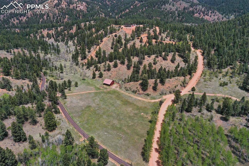 Woodland Park, CO 80863,4101 Spruce RD