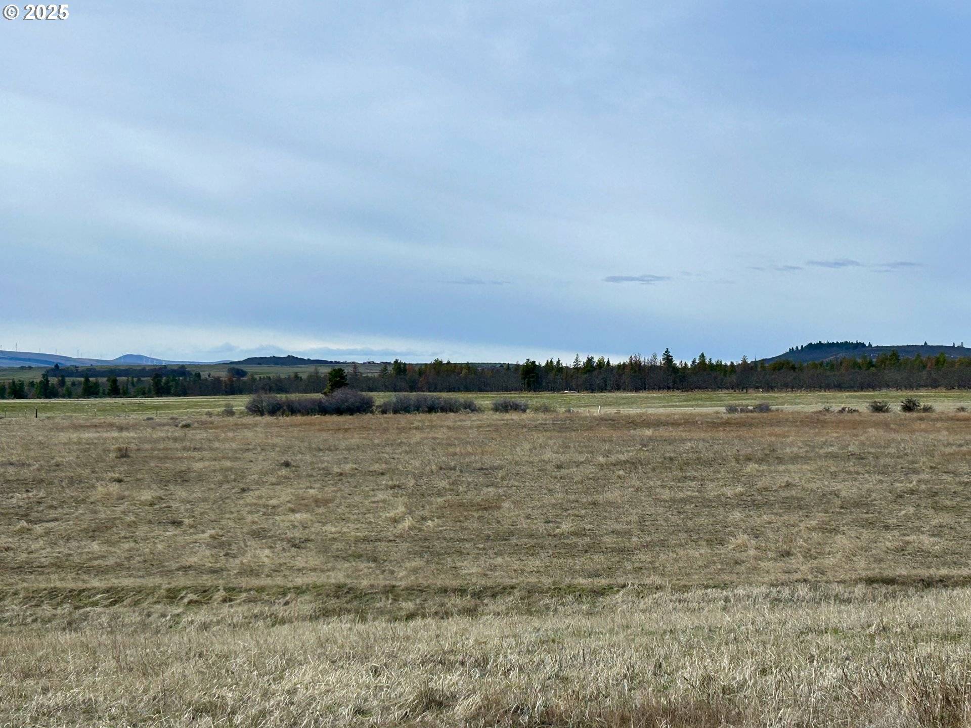 Goldendale, WA 98620,71 Homestead RD