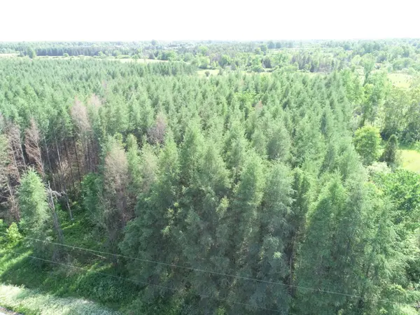 LOT Dornie RD, North Glengarry, ON K0C 1A0