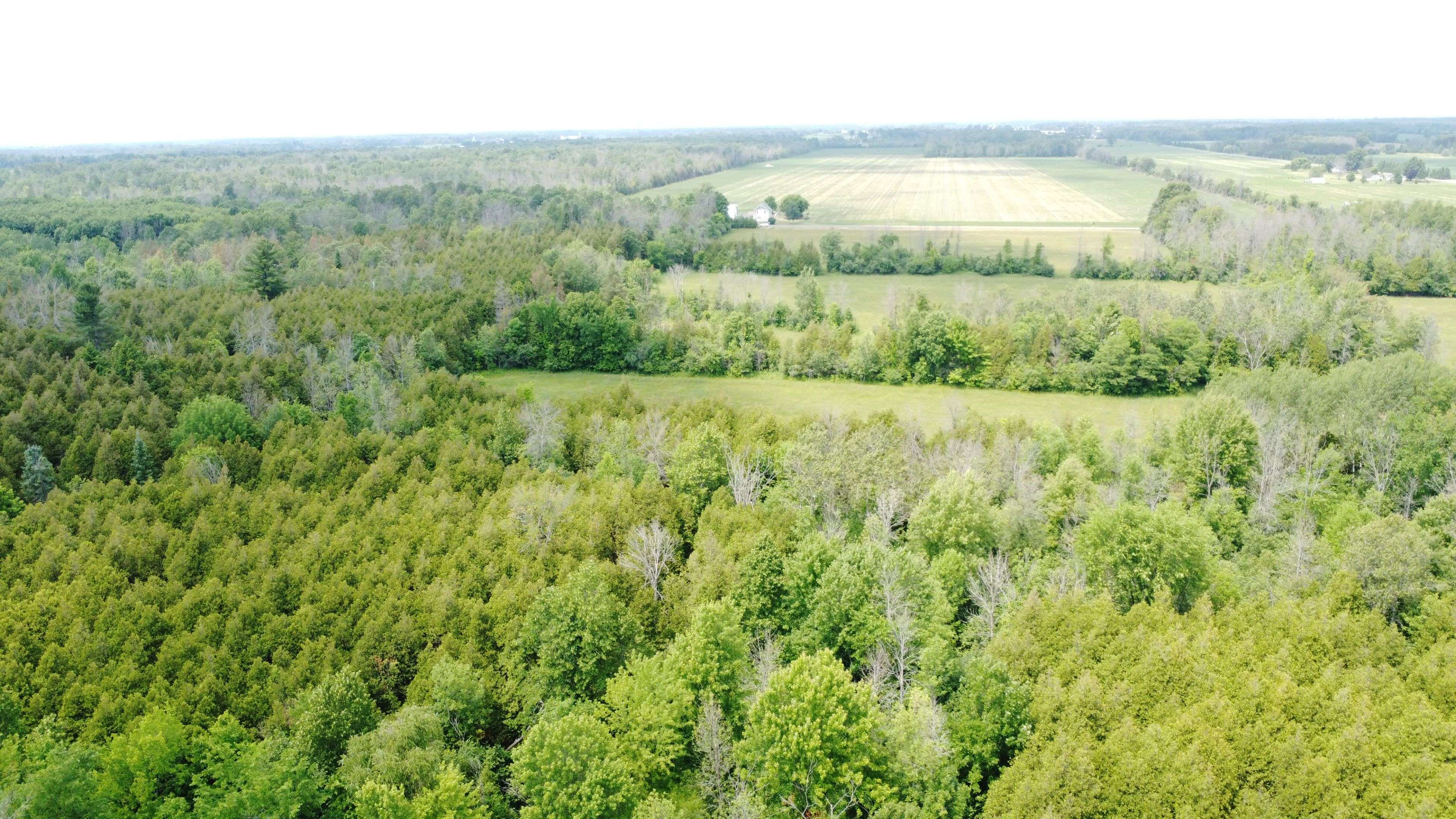 South Dundas, ON K0C 2H0,0 Whittaker RD E