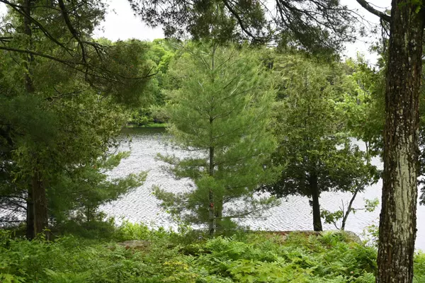 Magnetawan, ON P2A 0B5,597 (Lot 2) Fords RD