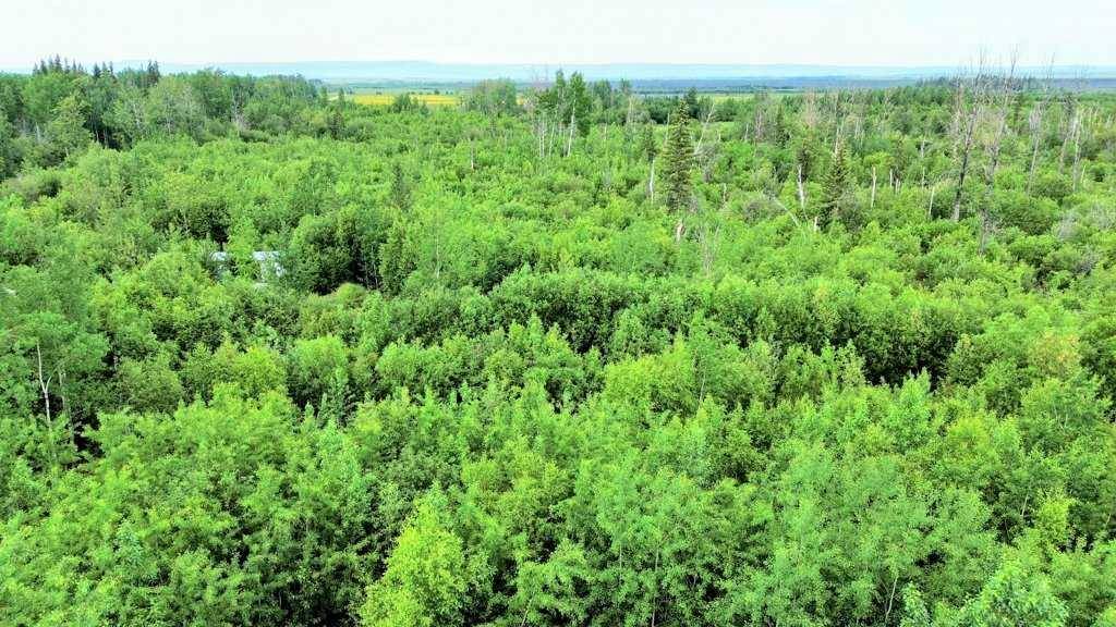 Rural Lesser Slave River No. 124 M.d. Of, AB T0G 2A0,52038 Poplar LN