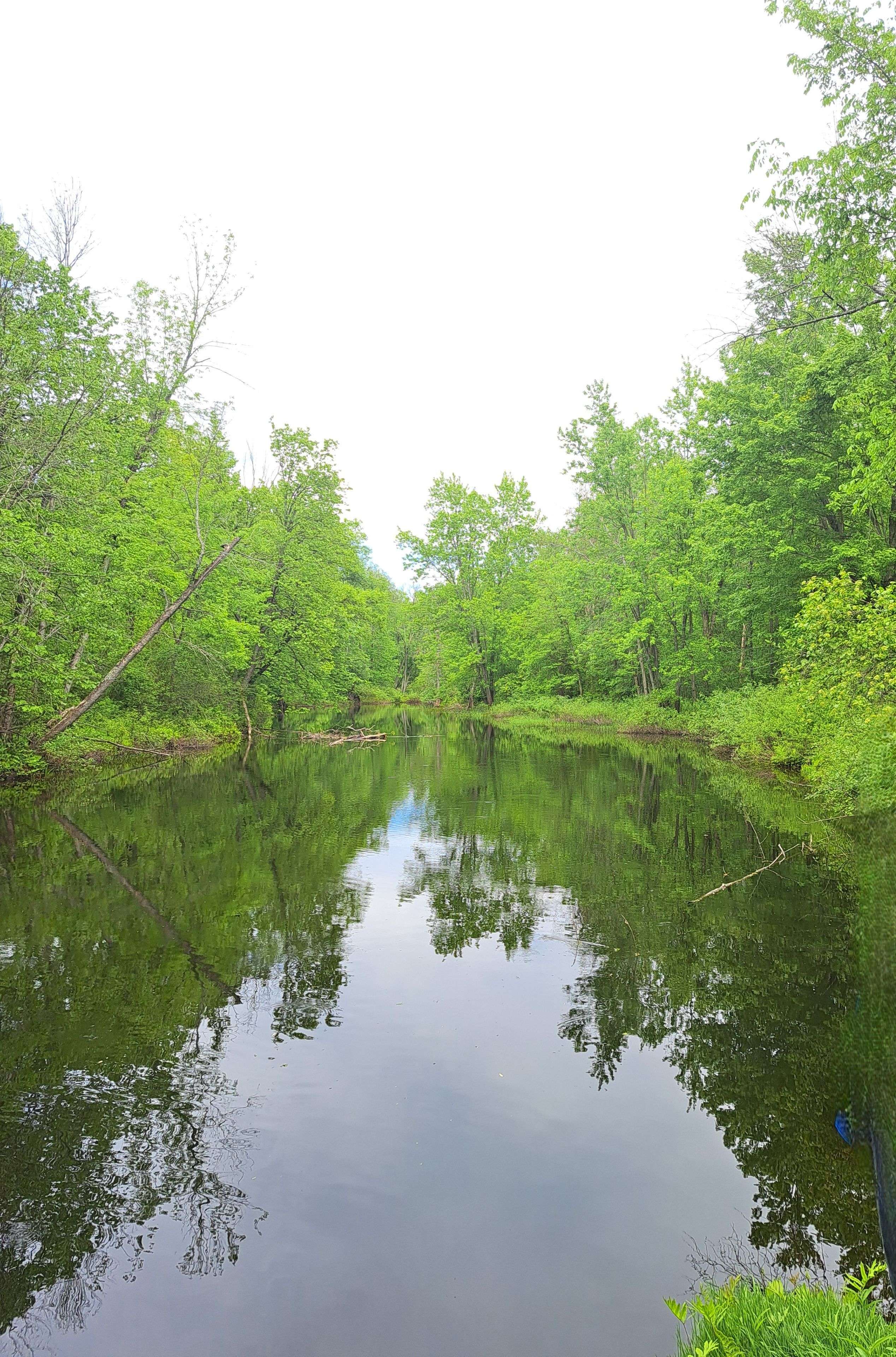 Tweed, ON K0K 3J0,280 Stoco RD