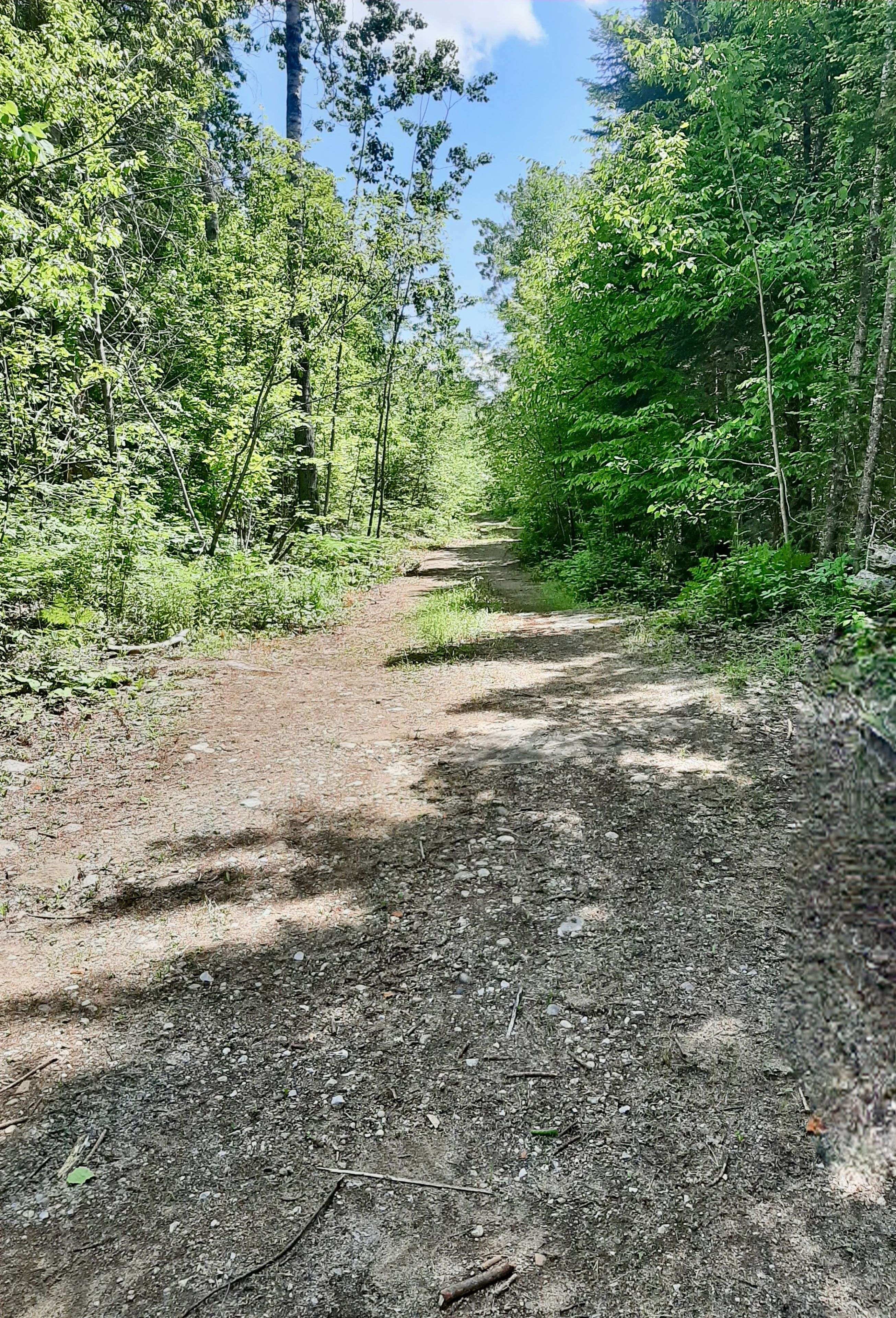 Highlands East, ON K0M 1S0,0 Glamorgan RD