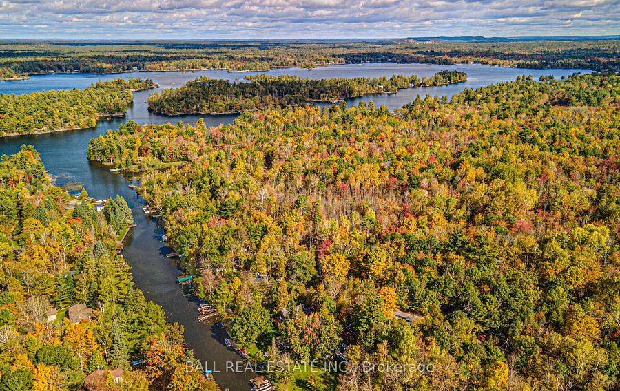 Douro-dummer, ON K0L 2H0,2374 Julia Shore RD E