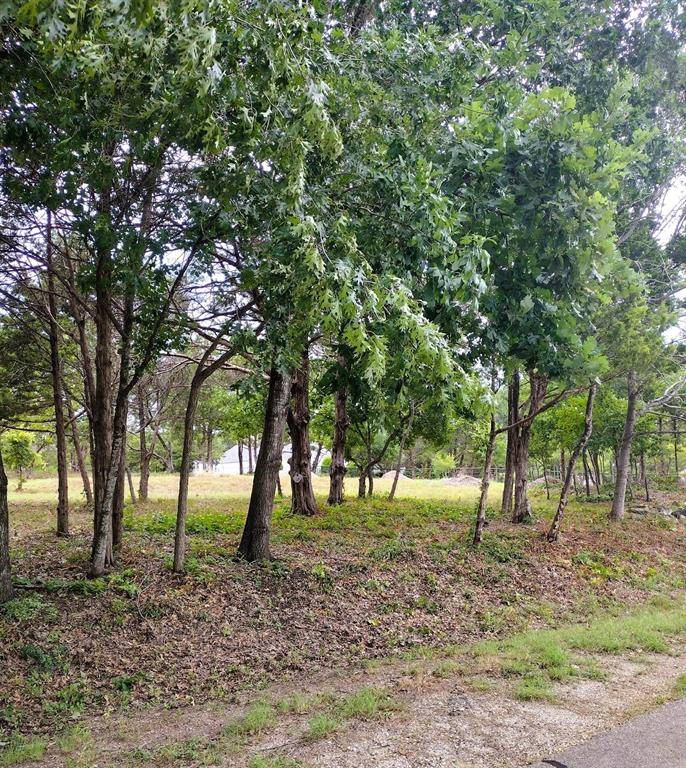 Ovilla, TX 75154,000 Woodridge Court