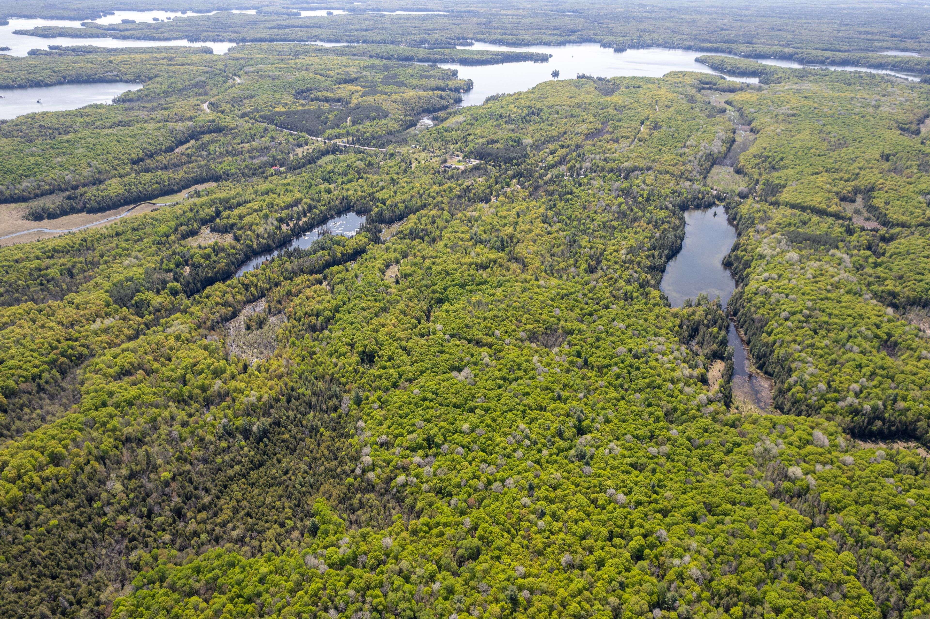 North Kawartha, ON K0L 1A0,0 Johnson RD