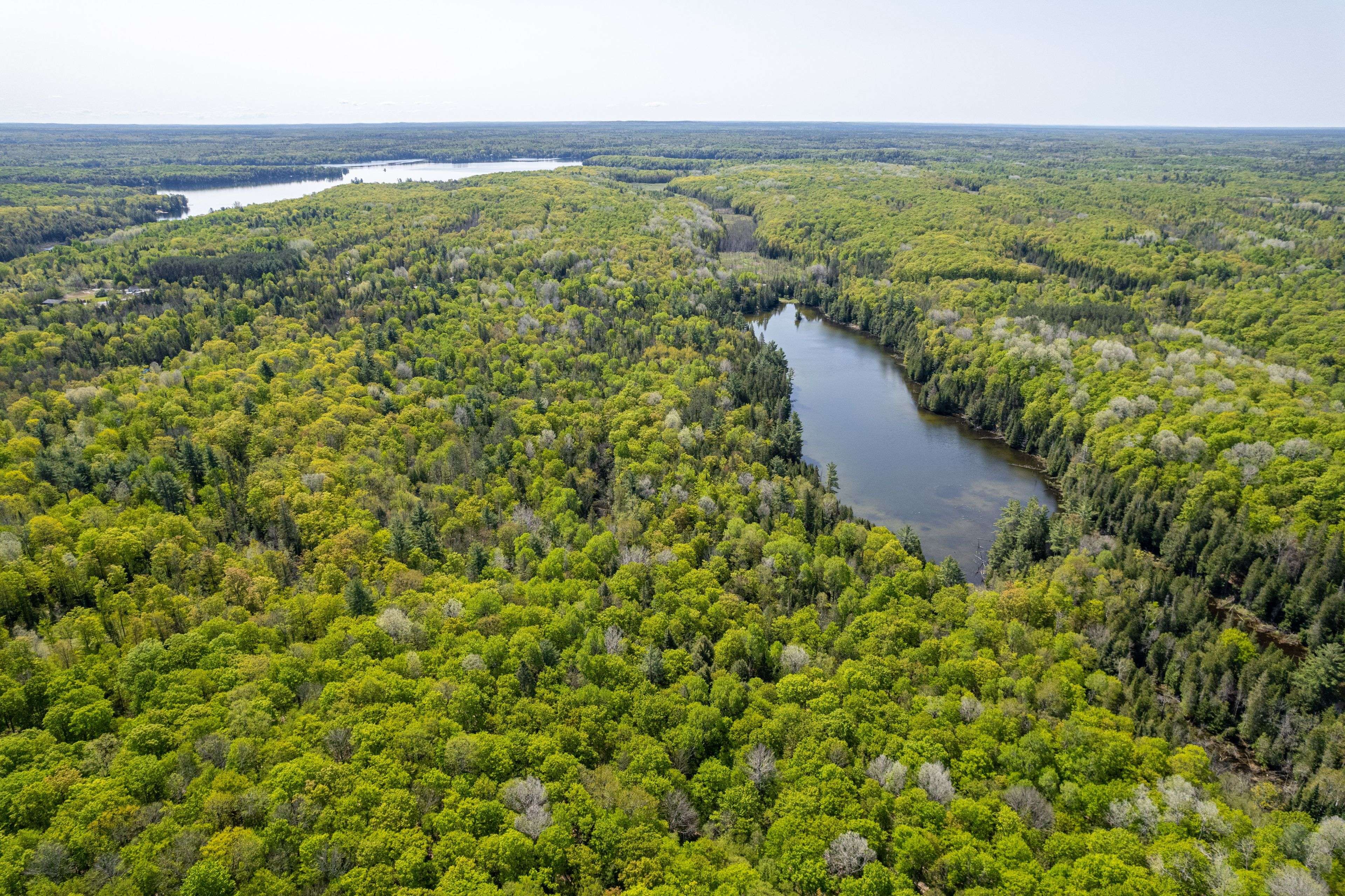 North Kawartha, ON K0L 1A0,0 Johnson RD