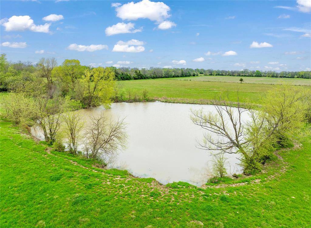 Brookston, TX 75421,parcel  401073 CR 23900