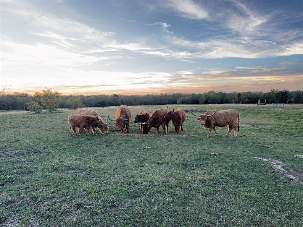 Campbell, TX 75422,4081 FM 2736 #C