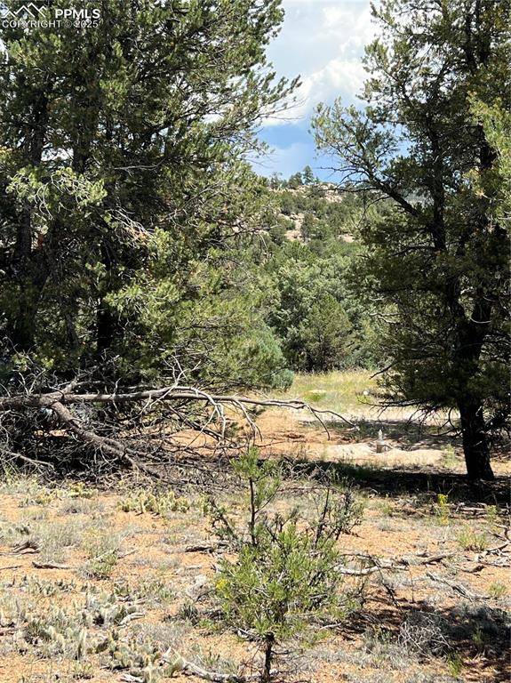 Cotopaxi, CO 81223,216 West View RD