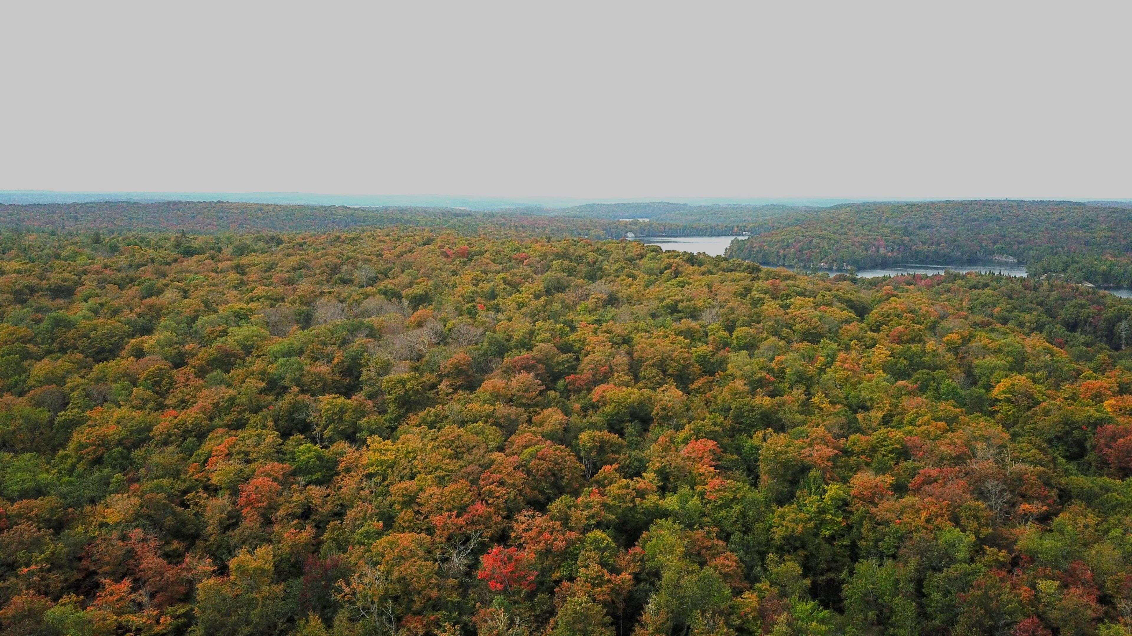 0 SOUTH HORN LAKE RD, Magnetawan, ON P0B 1C0