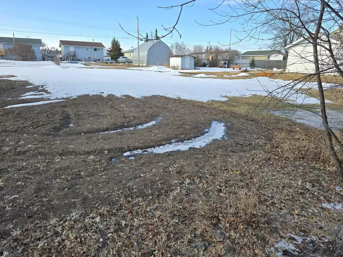 Mclennan, AB T0H 2L0,217 2 AVE NE